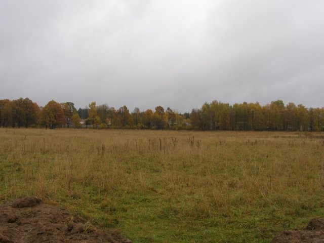 Пробегусь по полю...