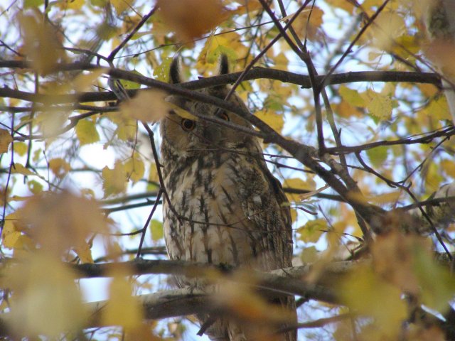 Видеофиксация